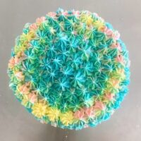 vegan rainbow cake in Melbourne