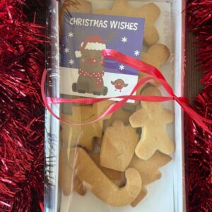 Vegan Christmas cookie box. Gingerbread cookies in Melbourne.